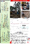Dynamic Testing of Piles